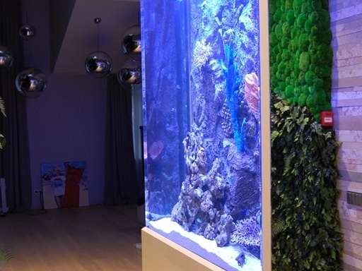 <span style="font-weight: bold;">Аквариум высокий</span>