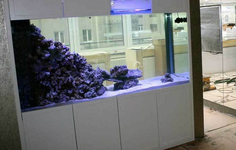 <span style="font-weight: bold;">Аквариум в стене между комнатами</span>