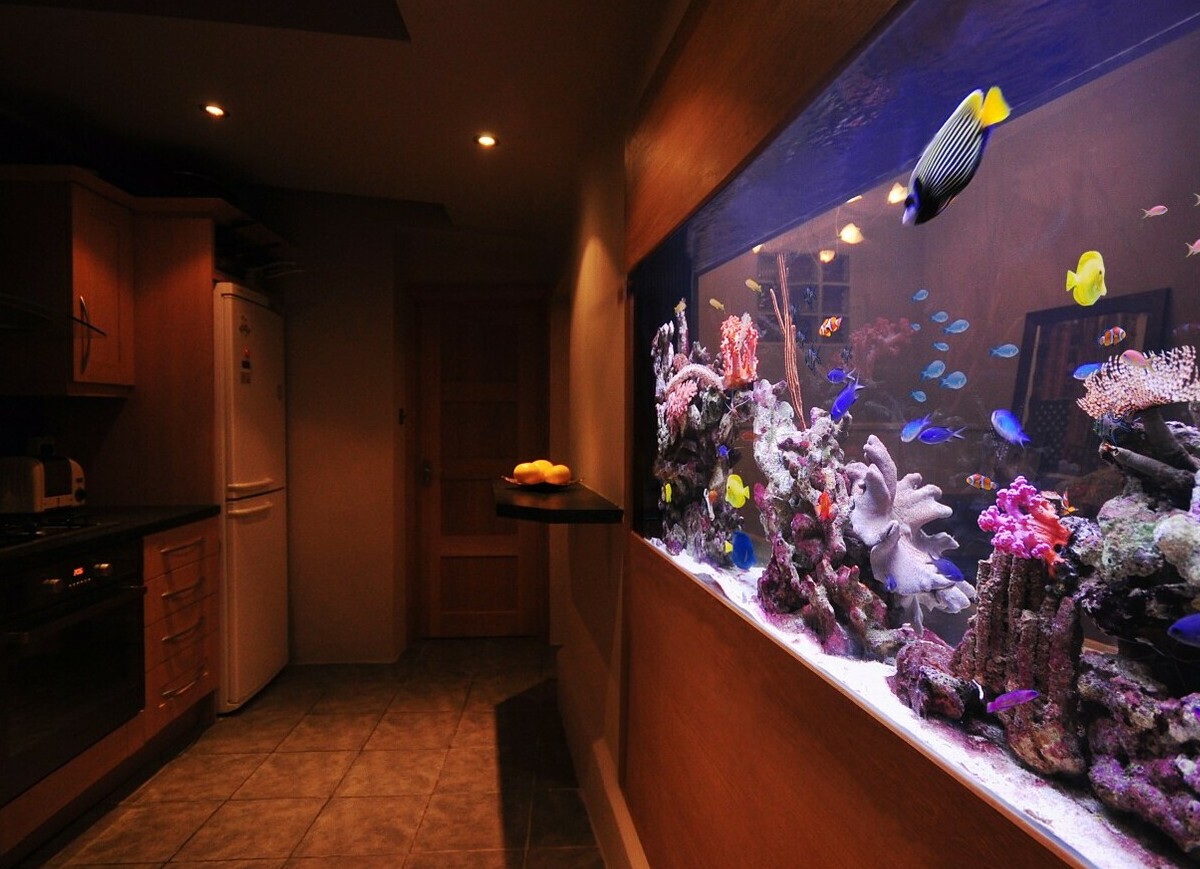 <span style="font-weight: bold;">Длинный аквариум</span>