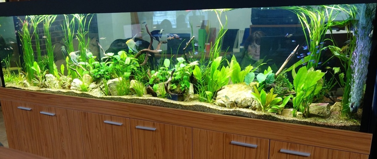 аквариум на заказ