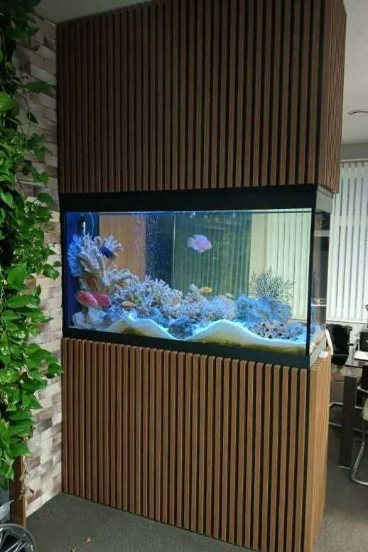 Аквариум перегородка