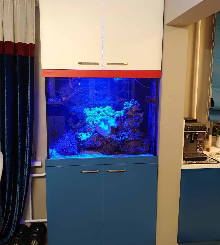 Морской аквариум