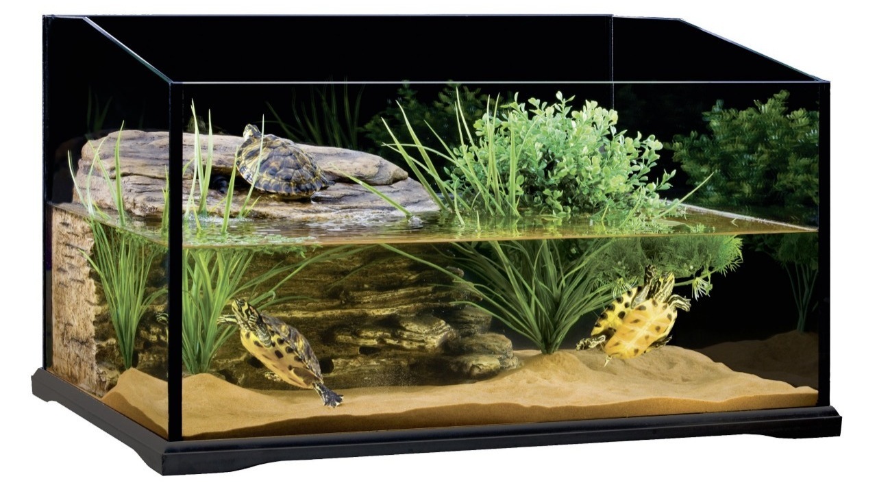 акватеррариум для красноухой черепахи недорого