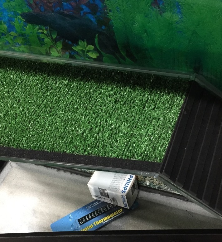 Мостик для красноухой черепахи Мостик для черепахи