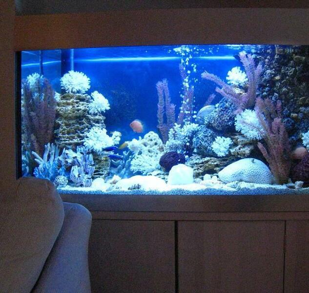 Большой аквариум длиной 3 метра в гостиной