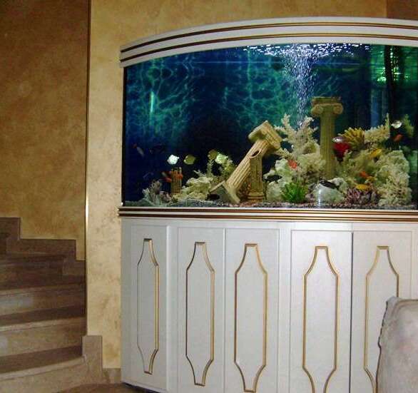 Комнатный водопал