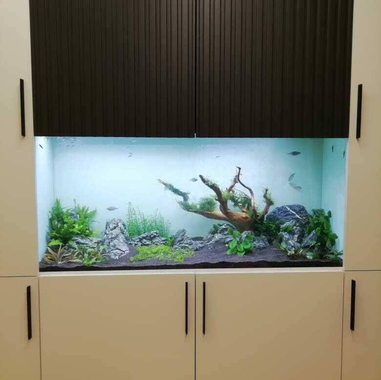 Аквариумы на заказ в Москве — изготовление под ключ | Аквастекло Аквариум в стене