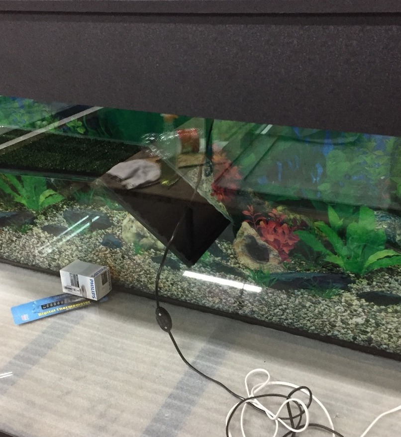 Акватеррариум на заказ Акватеррариум из стекла