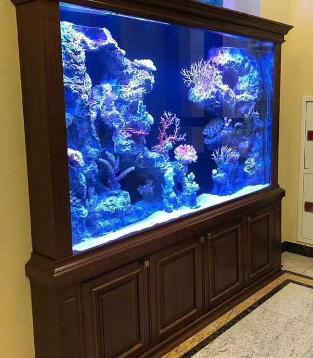 Акриловый аквариум на заказ