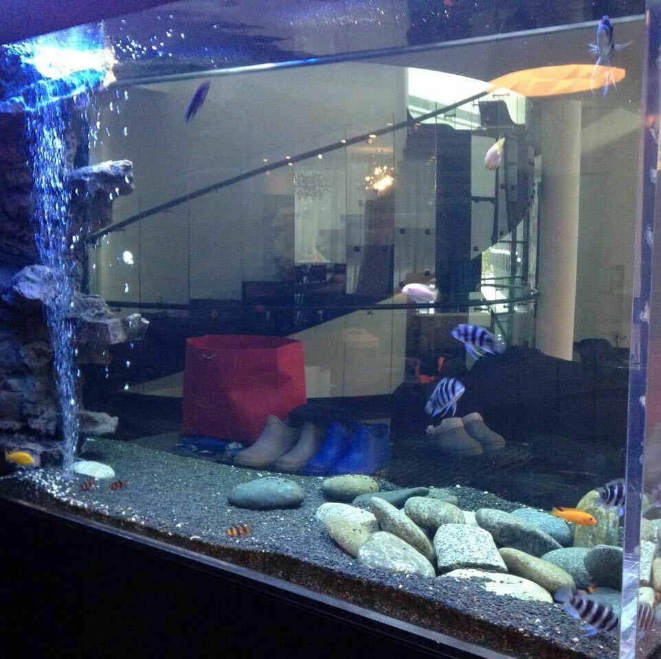 акриловый аквариум на заказ