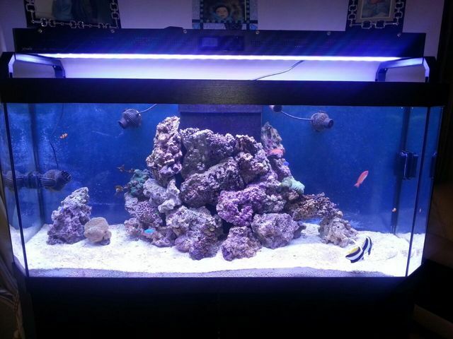 Аквариум под заказ