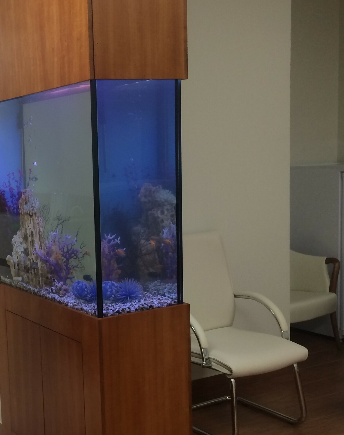  Компактный узкий аквариум для коридора или маленькой комнаты.