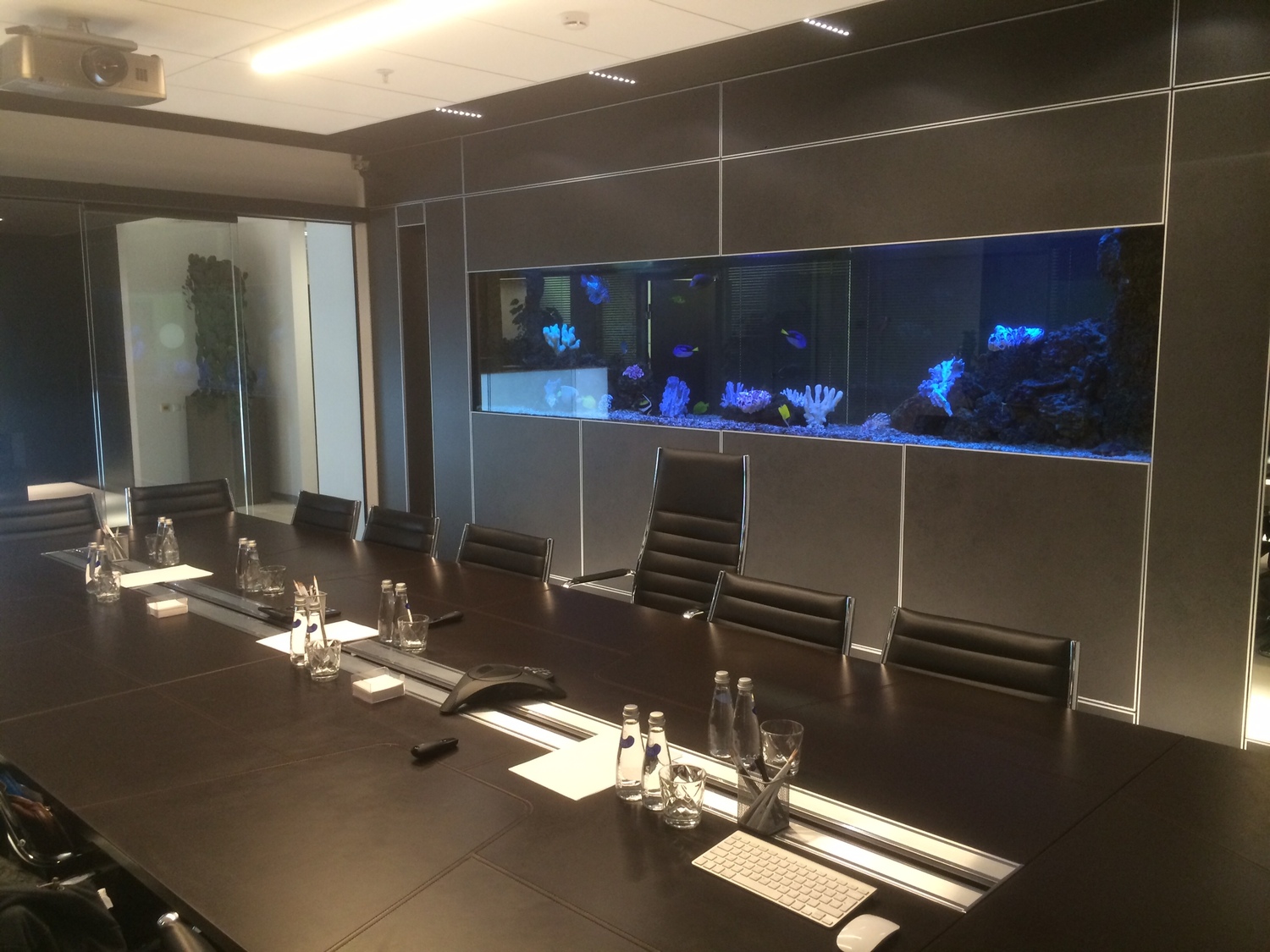  Просторный аквариум для крупных рыб. Решение для гостиной или офиса.