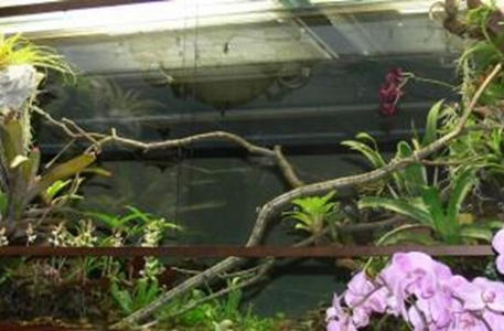 <span style="font-weight: bold;">Террариум, Акватеррариум на заказ</span>