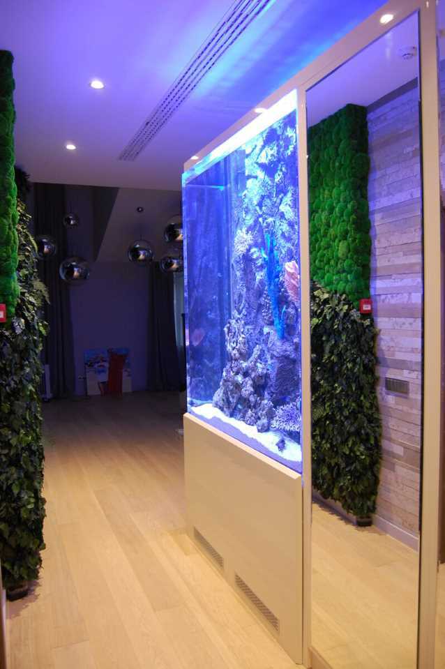 <span style="font-weight: bold;">Аквариум из оргстекла </span>