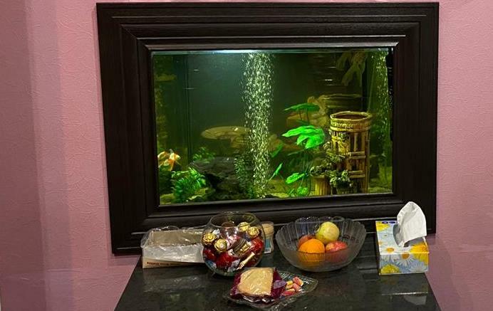 Аквариум картина