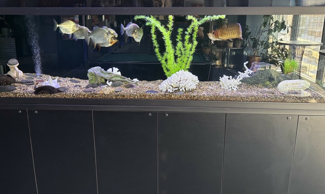 Аквариум на тонну