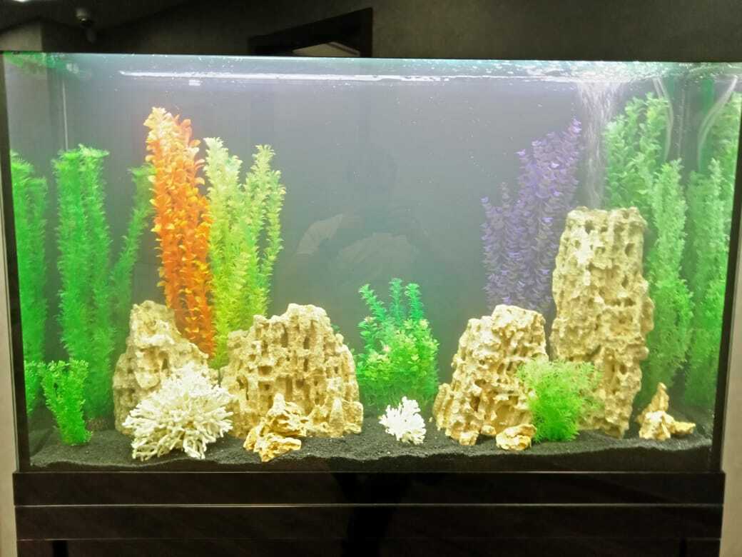 <span style="font-weight: bold;">Инженер, сметчик: Андрей&nbsp; &nbsp; &nbsp; &nbsp; &nbsp; &nbsp; &nbsp; &nbsp; &nbsp; &nbsp; &nbsp; &nbsp; &nbsp; &nbsp; &nbsp; &nbsp; &nbsp; 8-916-810-02-58&nbsp;</span>