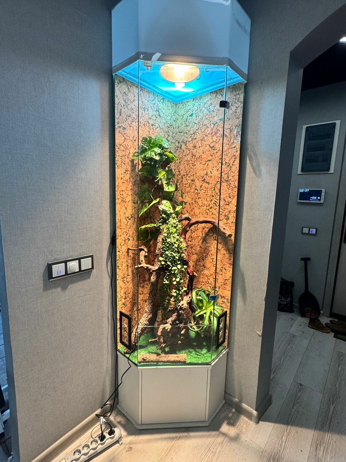 <span style="font-weight: bold;">Для каждого животного нужна своя форма террариума </span>