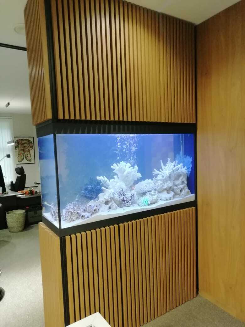  Зонировали помещение в готовом ремонте