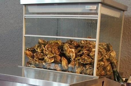 <span style="font-weight: bold;">Аквариум для торговли морепродуктами и рыбой </span>