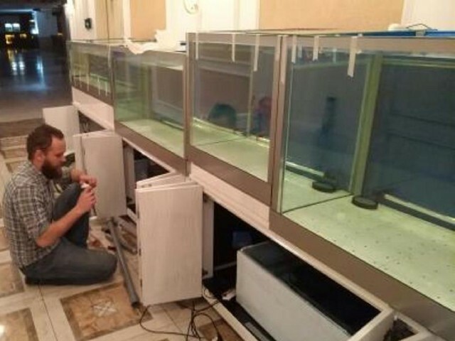 Обслужиывание аквариума&nbsp;