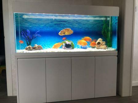<span style="font-weight: bold;">Аквариум цена</span>