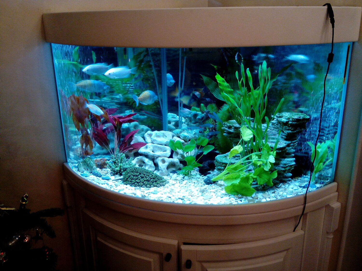 Панорамный аквариум<span style="font-weight: bold;"> </span>