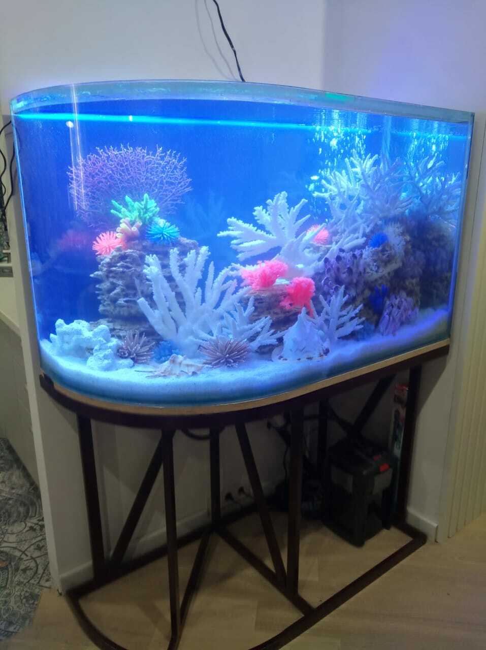 Оформление псевдоморе Панорамный аквариум из акрила