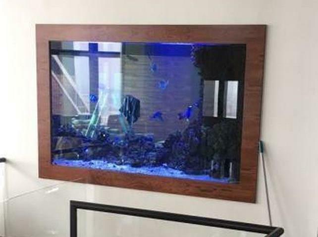 <span style="font-weight: bold;">Аквариум картина</span>