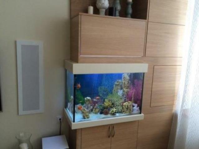 Купить аквариум на заказ