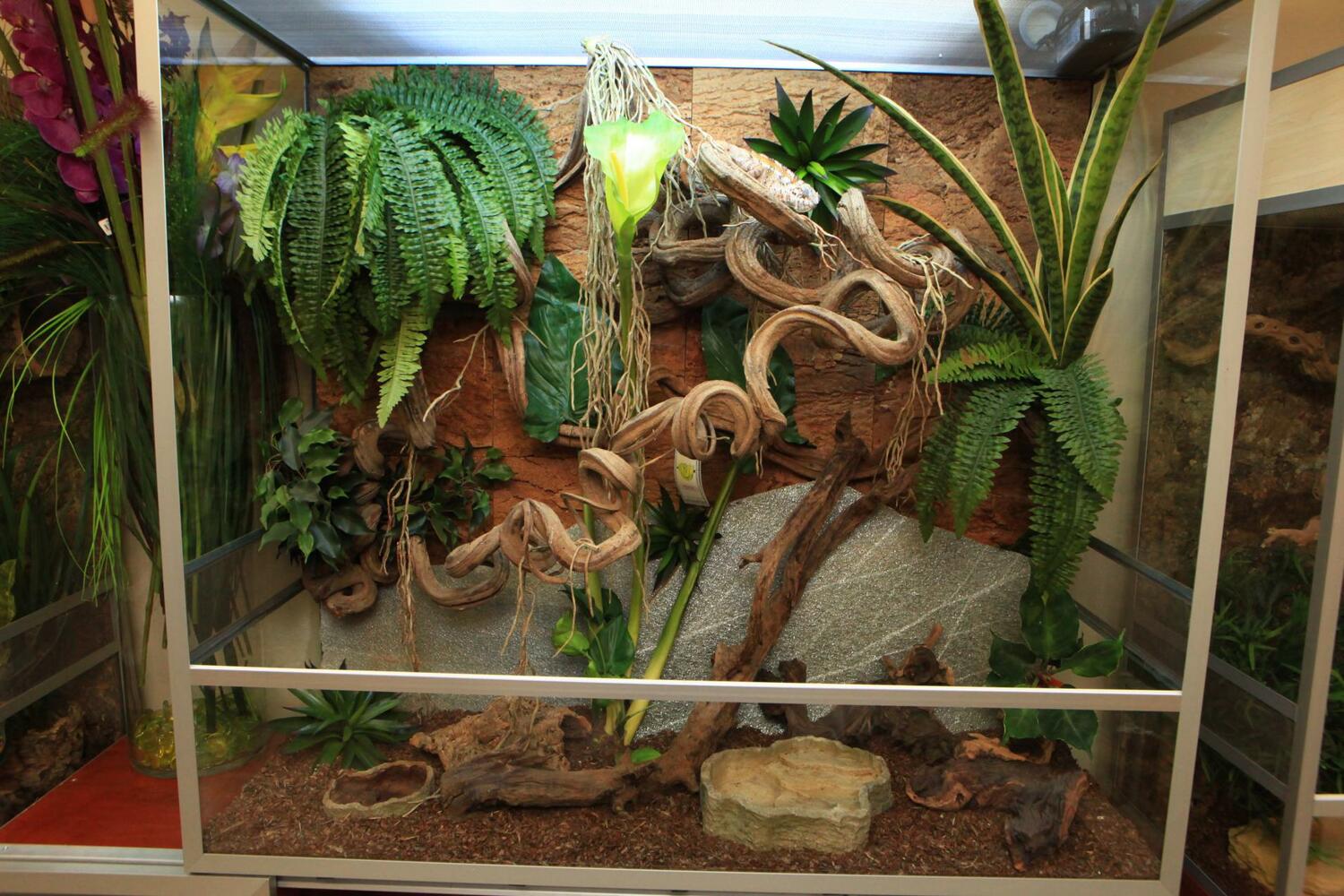 <span style="font-weight: bold;">Террариум, Акватеррариум на заказ</span>
