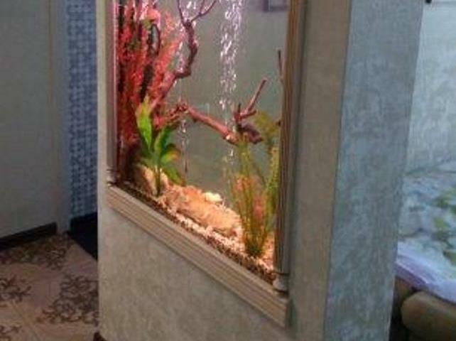 <span style="font-weight: bold;">Аквариум в нише</span>