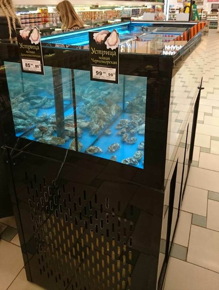 <span style="font-weight: bold;">Аквариум в ресторан </span>